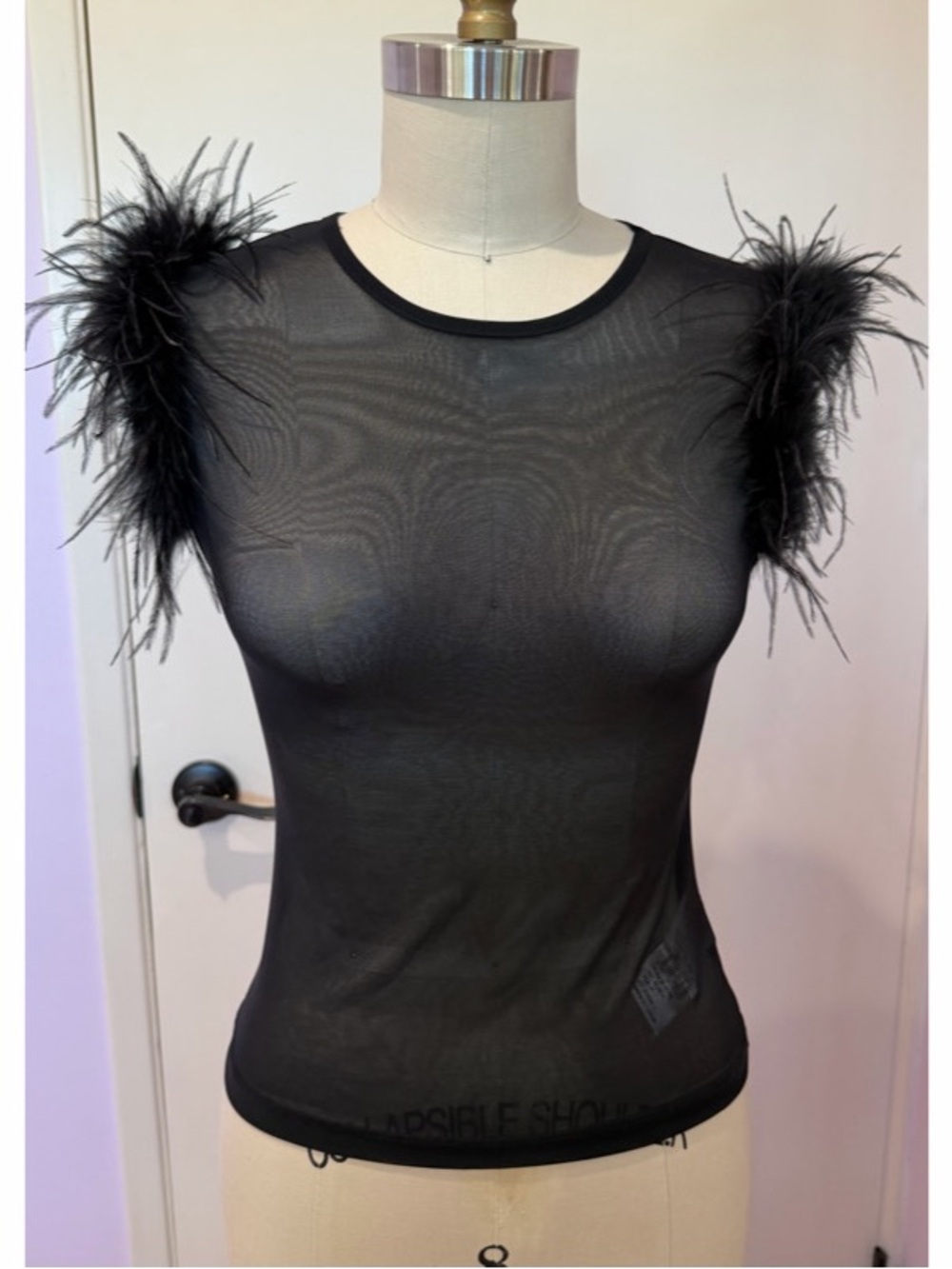 Mesh Top w/ Feathers